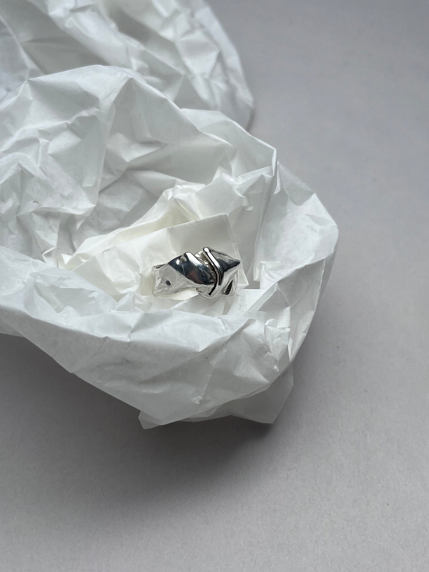 ring n°3