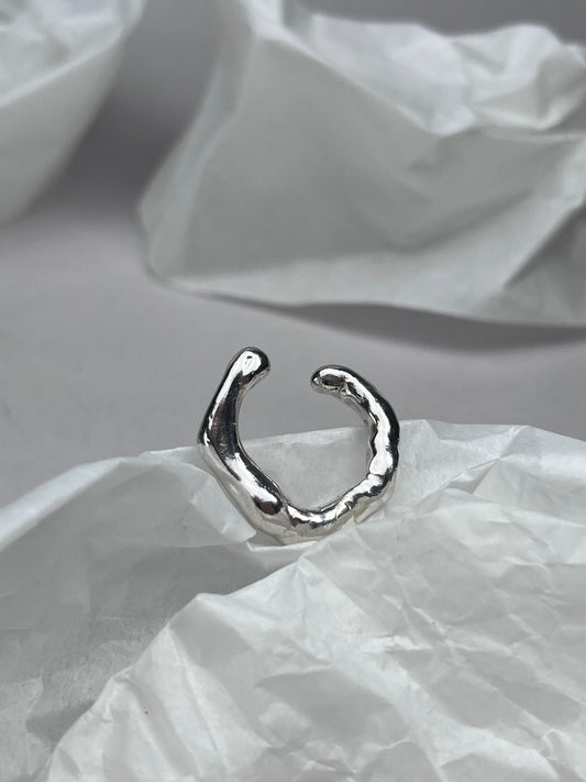ring n°41