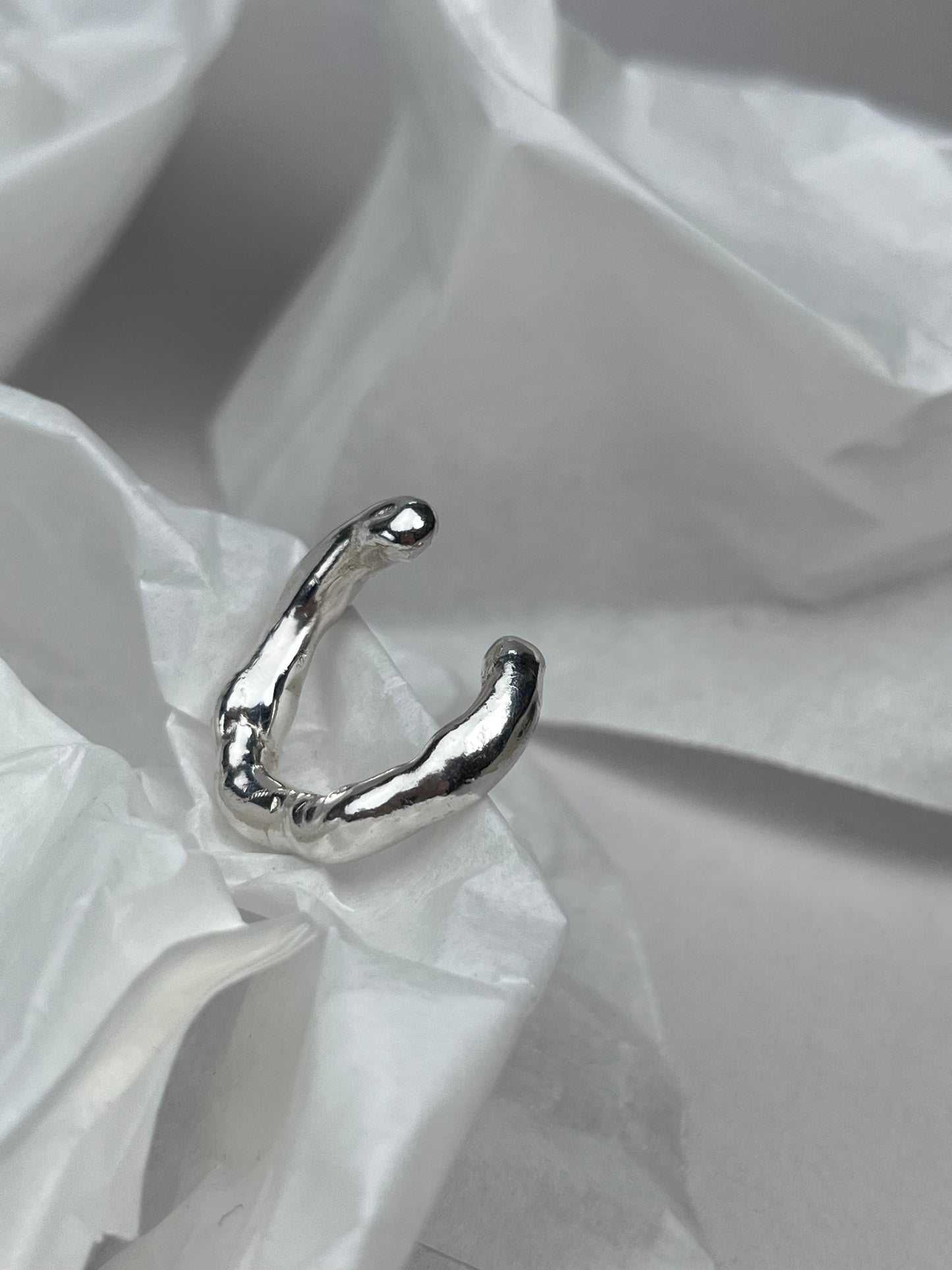 ring n°41