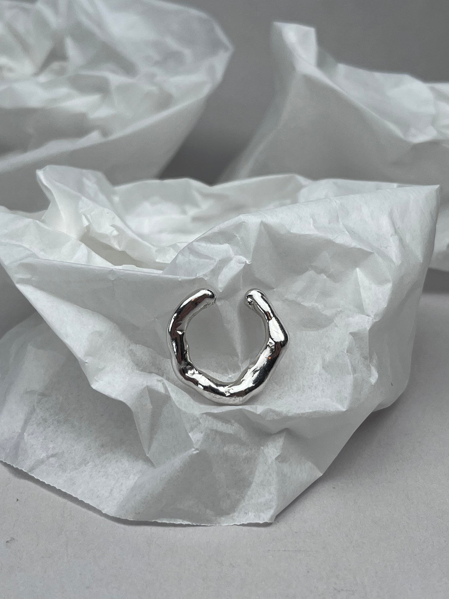 ring n°41