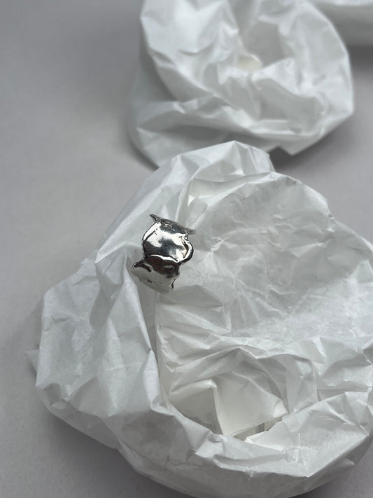 ring n°15