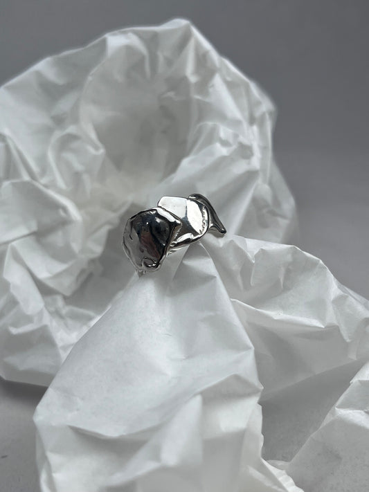 ring n°27
