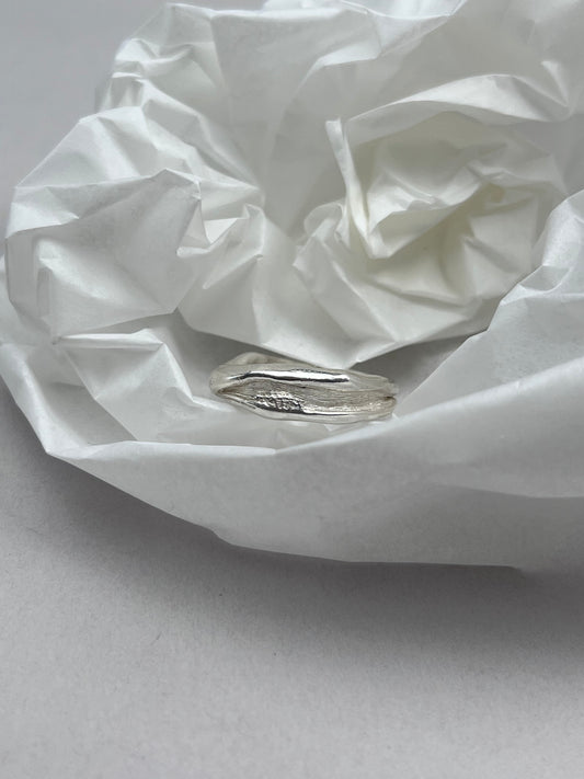 ring n°2