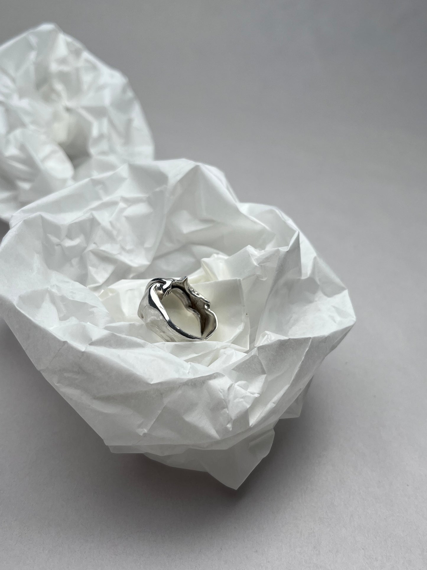 ring n°3