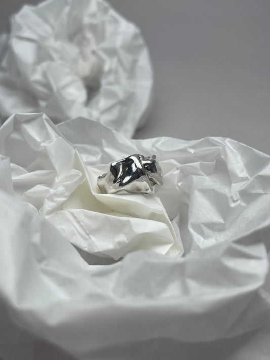 ring n°3