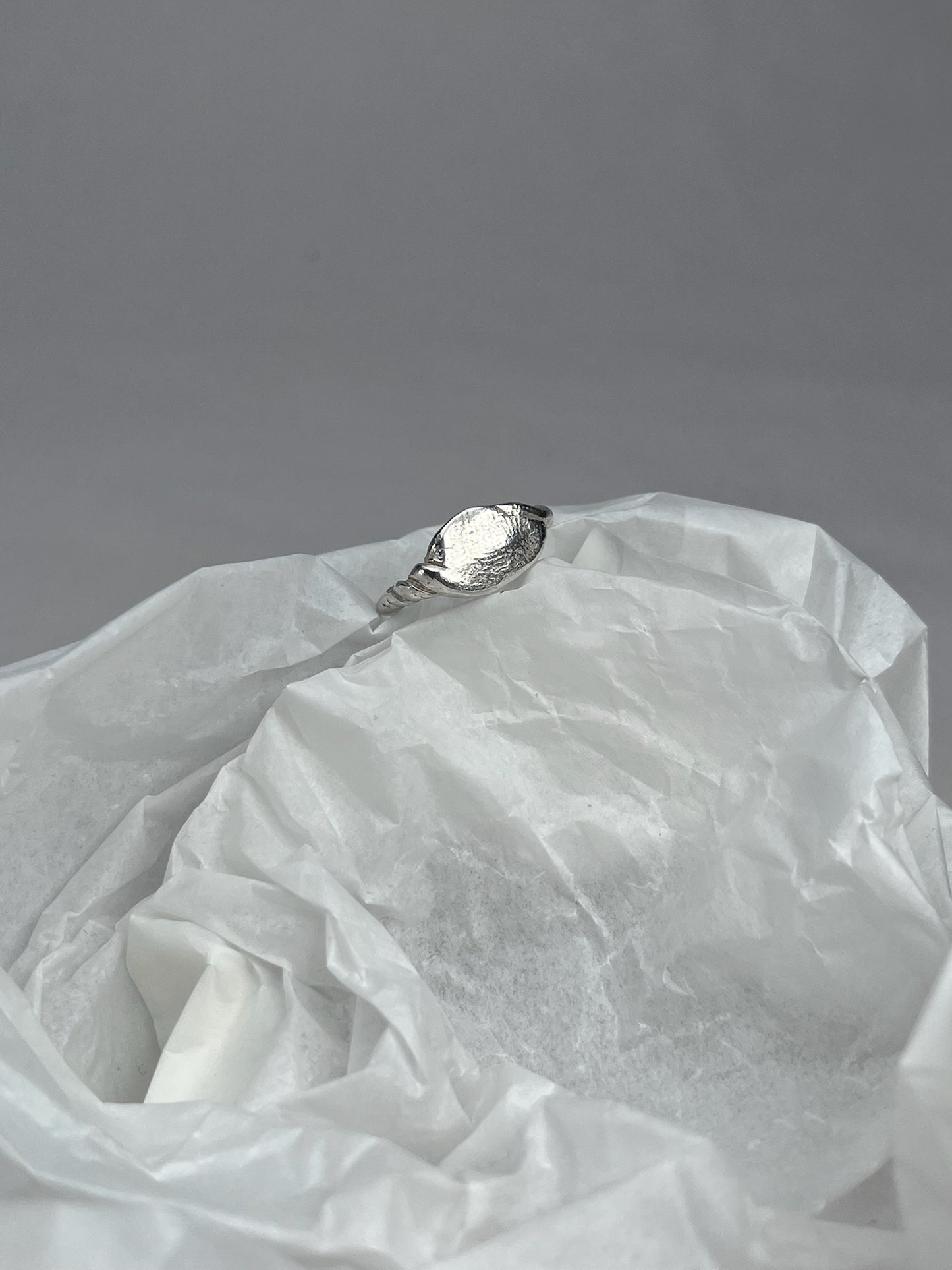 ring n°4