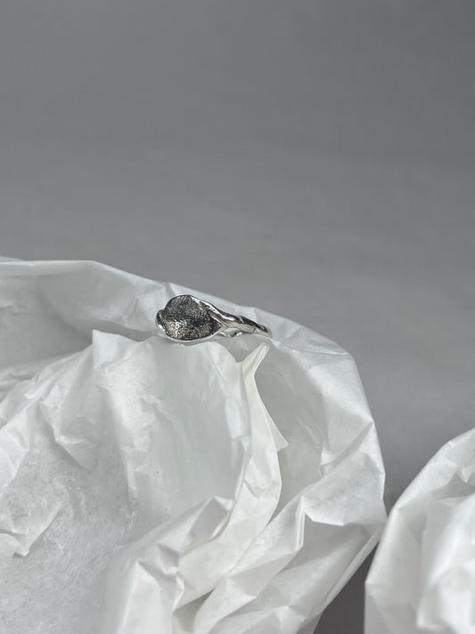 ring n°4